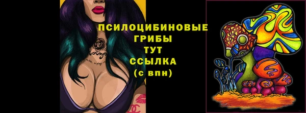 соль ск Дмитров