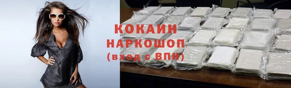 2c-b Дмитриев