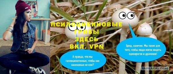 соль ск Дмитров