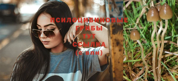 MDMA Premium VHQ Дмитровск