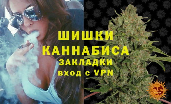 соль ск Дмитров