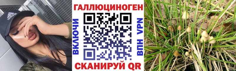 Псилоцибиновые грибы ЛСД цены Воронеж